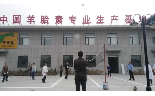 排球傳溫情，員工齊聚心